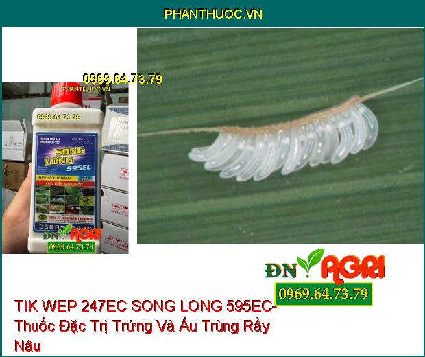 TIK WEP 247EC SONG LONG 595EC- Thuốc Đặc Trị Rầy Nâu, Rệp Sáp