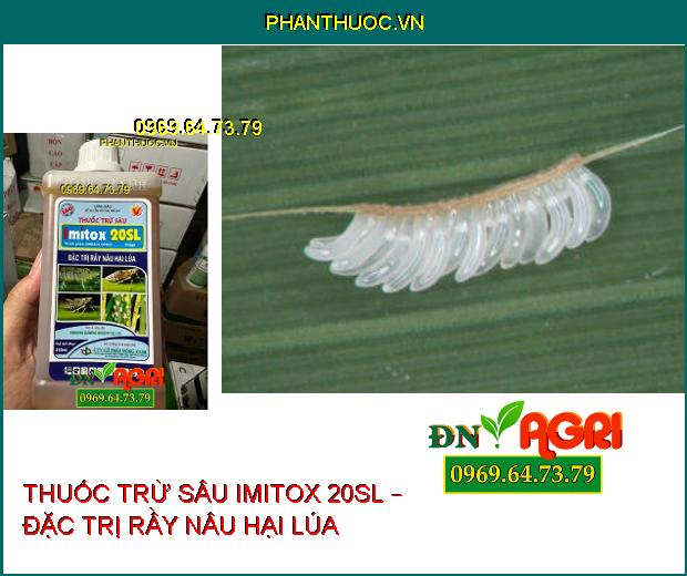 THUỐC TRỪ SÂU IMITOX 20SL – ĐẶC TRỊ RẦY NÂU – DIỆT SÂU TRƯỞNG THÀNH – SÂU NON VÀ TRỨNG