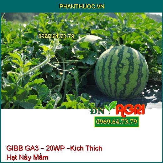 PHÂN BÓN PHỨC HỢP GIBB GA3 – 20WP –Kích Thích Hạt Nảy Mầm Nhanh