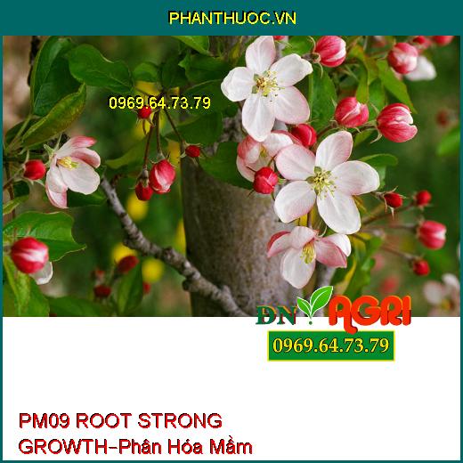 PHÂN BÓN LÁ PM09 ROOT STRONG GROWTH –Giúp Cây Phân Hóa Mầm, Ra Hoa Đồng Loạt