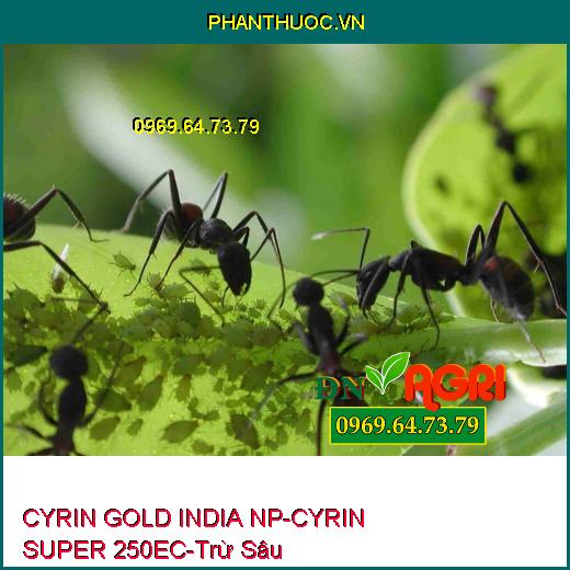 CYRIN GOLD INDIA NP-CYRIN SUPER 250EC- Trừ Sâu, Tuyến Trùng, Sùng Đất