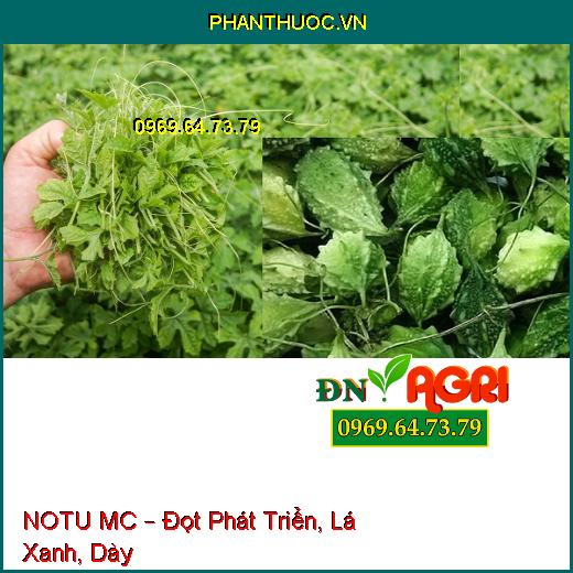 PHÂN BÓN HỖN HỢP NPK BỔ SUNG VI LƯỢNG NOTU MC – Đọt Phát Triển, Lá Xanh, Dày