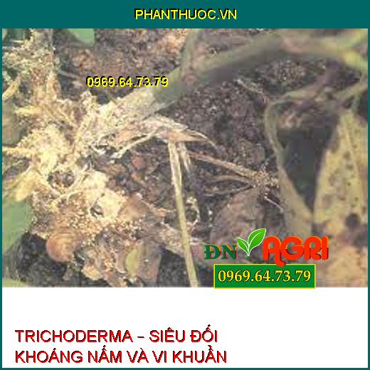 TRICHODERMA – SIÊU ĐỐI KHOÁNG NẤM VÀ VI KHUẨN