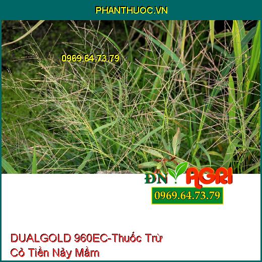 THUỐC TRỪ CỎ DUALGOLD 960EC – Thuốc Trừ Cỏ Tiền Nảy Mầm, Cỏ Lá Hẹp, Lá Rộng