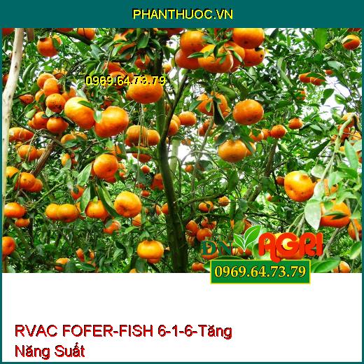 PHÂN BÓN LÁ RVAC FOFER-FISH 6-1-6 – Tăng Năng Suất , Phù Hợp Loại Đất Suy Kiệt