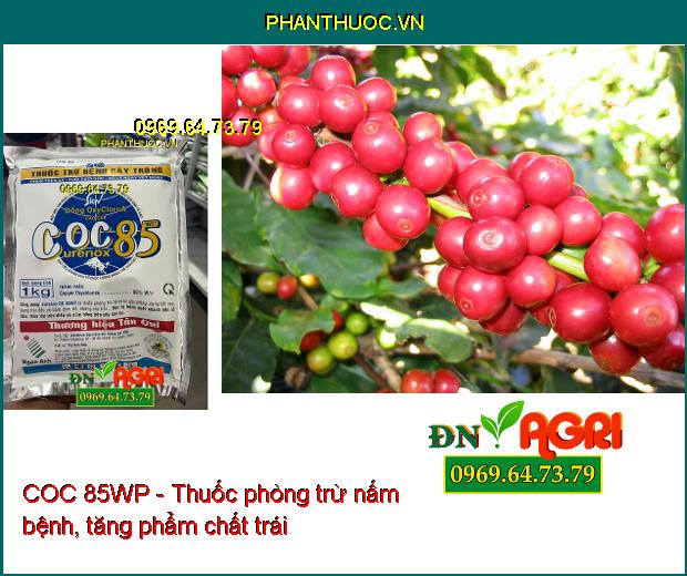 COC 85WP - Thuốc phòng trừ nấm bệnh