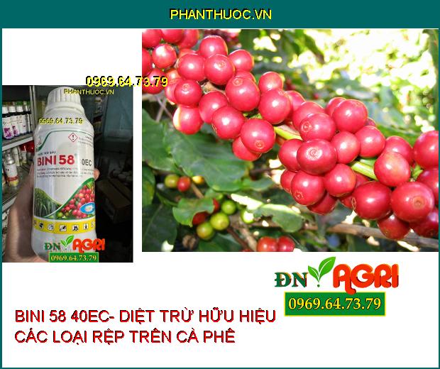 BINI 58 40EC- DIỆT TRỪ HỮU HIỆU CÁC LOẠI RỆP, RỆP MÍA ,RỆP CÀ PHÊ