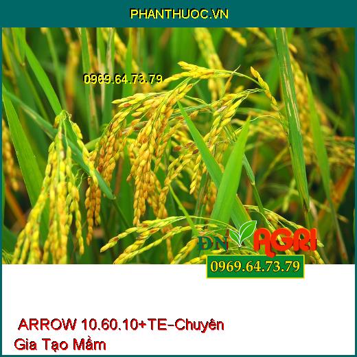 PHÂN BÓN LÁ HỖN HỢP NPK ARROW 10.60.10+TE –Chuyên Gia Tạo Mầm, Hạn Chế Sâu Bệnh