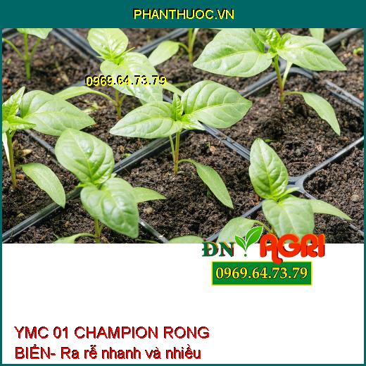 YMC 01 CHAMPION RONG BIỂN- Mát Cây, Dưỡng Hoa, Tăng Năng Suất