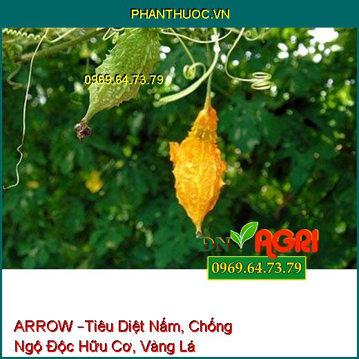 PHÂN BÓN LÁ HỖN HỢP ARROW –Tiêu Diệt Nấm, Chống Ngộ Độc Hữu Cơ, Vàng Lá