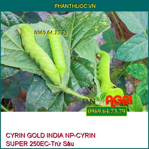 CYRIN GOLD INDIA NP-CYRIN SUPER 250EC- Trừ Sâu, Tuyến Trùng, Sùng Đất