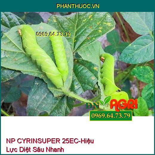 NP CYRINSUPER 25EC- Hiệu Lực Diệt Sâu Nhanh, Ruồi Đục Lá, Bọ Trĩ, Bọ Xít