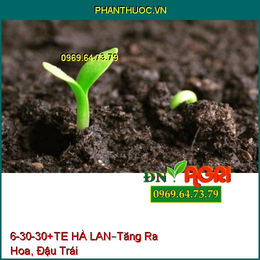 PHÂN BÓN LÁ 6-30-30+TE – HÀ LAN –Hạn Chế Bệnh Thán Hư, Tăng Ra Hoa, Đậu Trái