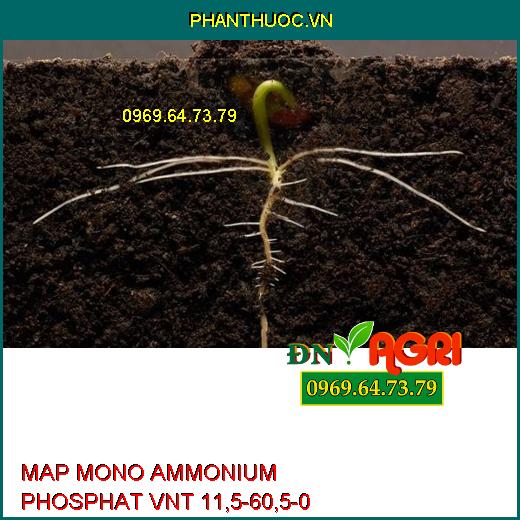 PHÂN BÓN CAO CẤP MAP MONO AMMONIUM PHOSPHAT VNT 11,5-60,5-0-Giúp Cây Phát Triển