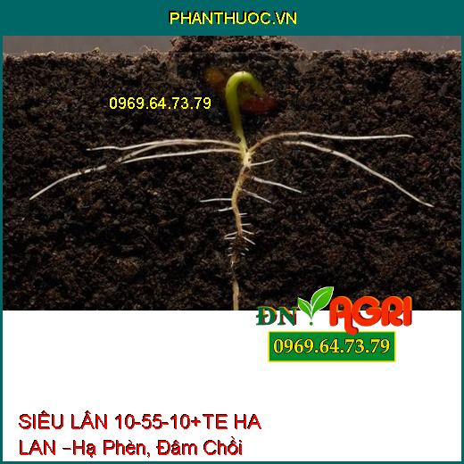 PHÂN BÓN LÁ CAO CẤP  SIÊU LÂN 10-55-10+TE HA LAN –Hạ Phèn, Đâm Chồi, Nhiều Hoa