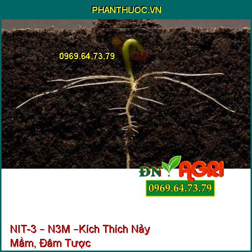 PHÂN BÓN NIT-3 – N3M –Kích Thích Nảy Mầm, Đâm Tược, Chống Rụng Hoa, Tăng Đậu Trái