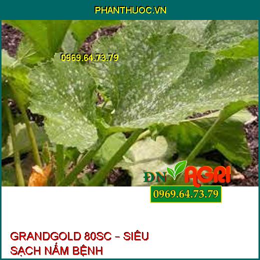 GRANDGOLD 80SC – SIÊU SẠCH NẤM BỆNH