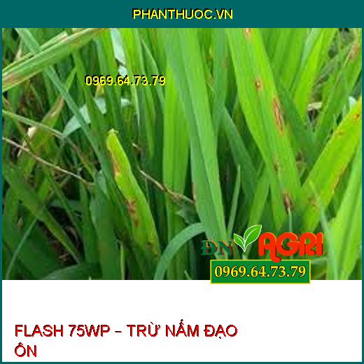 FLASH 75WP – TRỪ NẤM ĐẠO ÔN