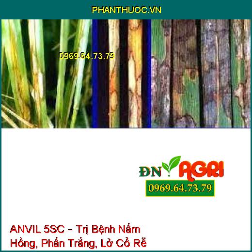 ANVIL 5SC – Trị Bệnh Nấm Hồng, Phấn Trắng, Lở Cổ Rễ