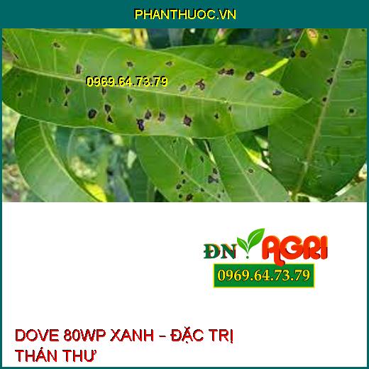 DOVE 80WP XANH – ĐẶC TRỊ THÁN THƯ