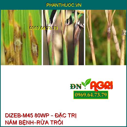 DIZEB-M45 80WP – ĐẶC TRỊ NẤM BỆNH–RỬA TRÔI