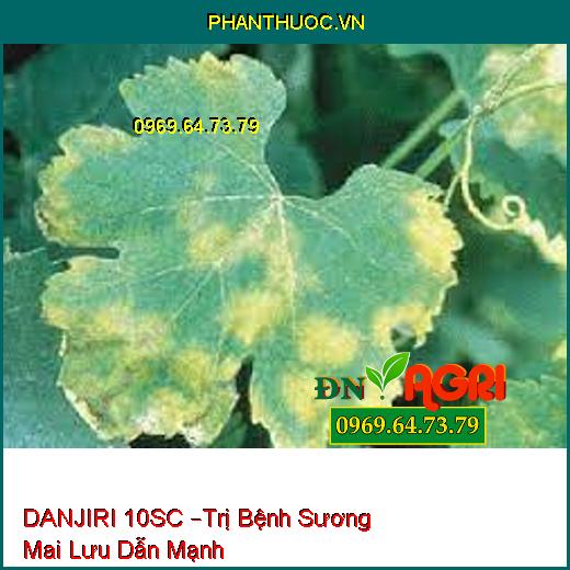 DANJIRI 10SC –Trị Bệnh Sương Mai Lưu Dẫn Mạnh