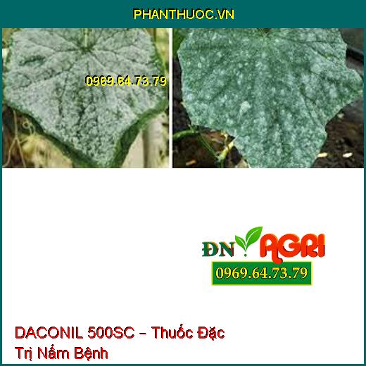 DACONIL 500SC – Thuốc Đặc Trị Nấm Bệnh