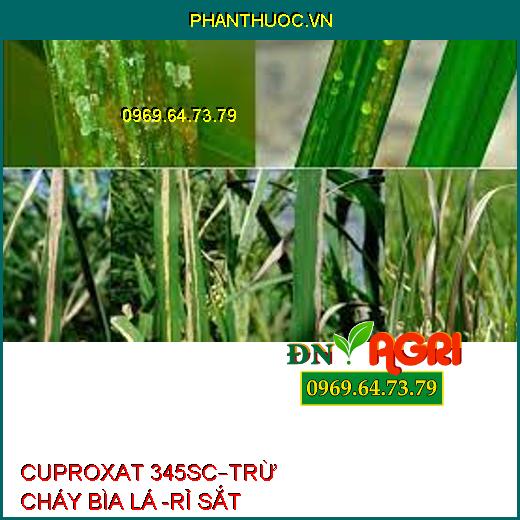 CUPROXAT 345SC–TRỪ CHÁY BÌA LÁ -RỈ SẮT