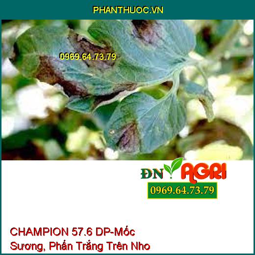 CHAMPION 57.6 DP-Mốc Sương, Phấn Trắng Trên Nho