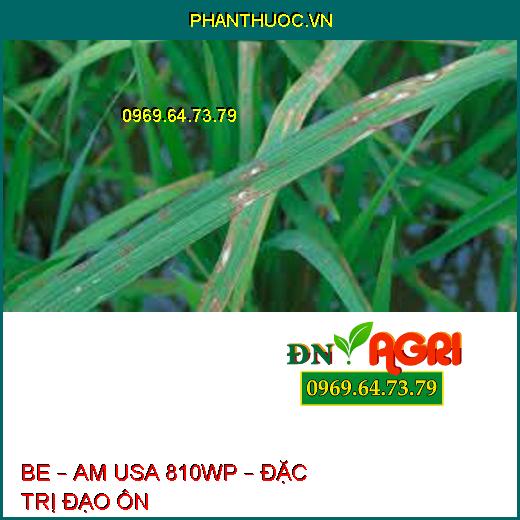 BE – AM USA 810WP – ĐẶC TRỊ ĐẠO ÔN