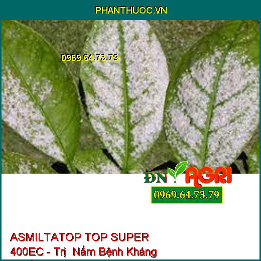 ASMILTATOP TOP SUPER 400EC - Trị Nấm Bệnh Kháng Thuốc