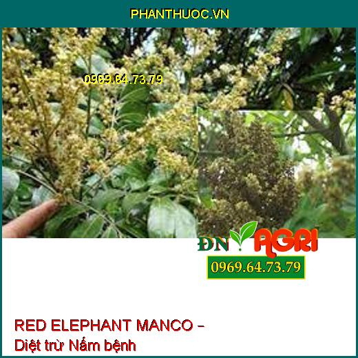 RED ELEPHANT MANCO – Diệt trừ Nấm bệnh