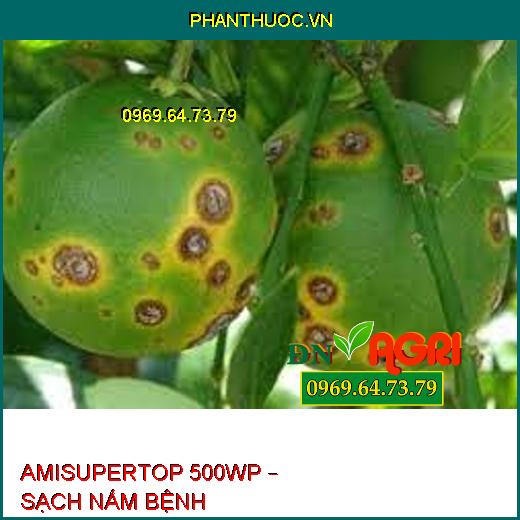 AMISUPERTOP 500WP – SẠCH NẤM BỆNH