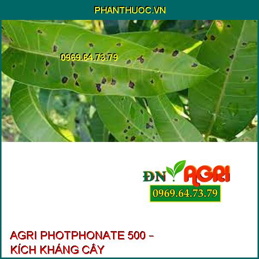 AGRI PHOTPHONATE 500 – KÍCH KHÁNG CÂY