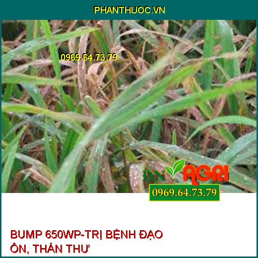 BUMP 650WP-TRỊ BỆNH ĐẠO ÔN, THÁN THƯ