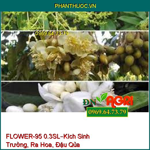 FLOWER-95 0.3SL–Kích Sinh Trưởng, Ra Hoa, Đậu Qủa