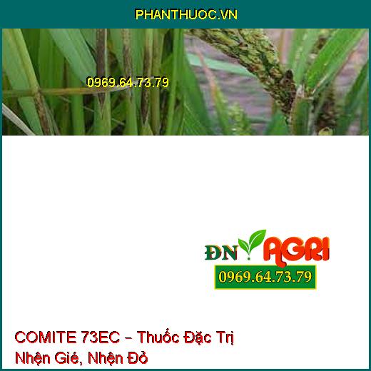 COMITE 73EC – Thuốc Đặc Trị Nhện Gié, Nhện Đỏ