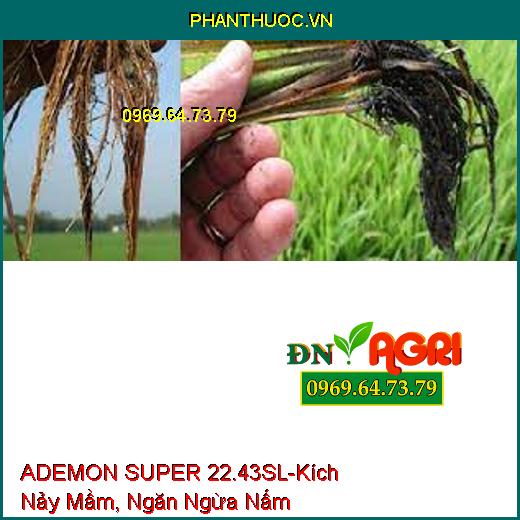 ADEMON SUPER 22.43SL-Kích Nảy Mầm, Ngăn Ngừa Nấm