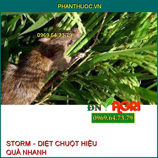 STORM – DIỆT CHUỘT HIỆU QUẢ NHANH