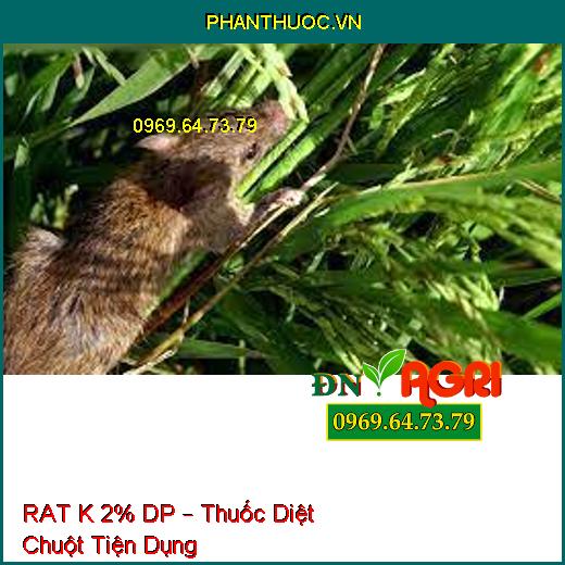 RAT K 2% DP – Thuốc Diệt Chuột Tiện Dụng