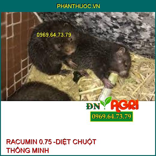 RACUMIN 0.75 -DIỆT CHUỘT THÔNG MINH