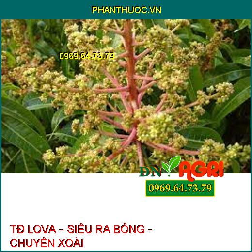 TĐ LOVA – SIÊU RA BÔNG – CHUYÊN XOÀI