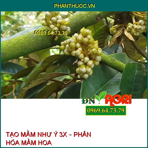 TẠO MẦM NHƯ Ý 3X – PHÂN HÓA MẦM HOA