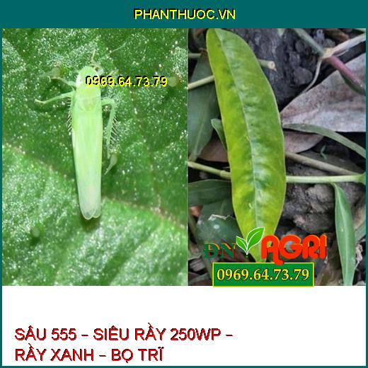 SÂU 555 – SIÊU RẦY 250WP – RẦY XANH – BỌ TRĨ