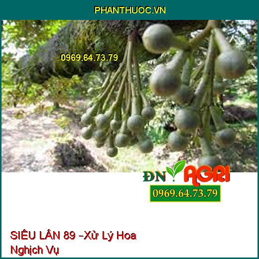 SIÊU LÂN 89 –Xử Lý Hoa Nghịch Vụ