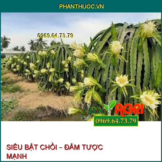 SIÊU BẬT CHỒI – ĐÂM TƯỢC MẠNH