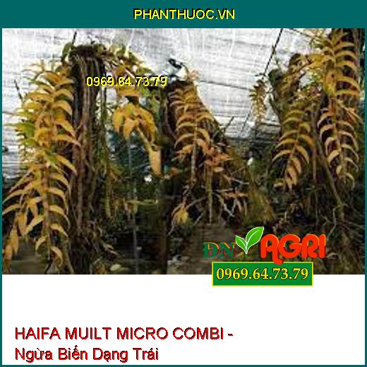 HAIFA MUILT MICRO COMBI - Ngừa Biến Dạng Trái