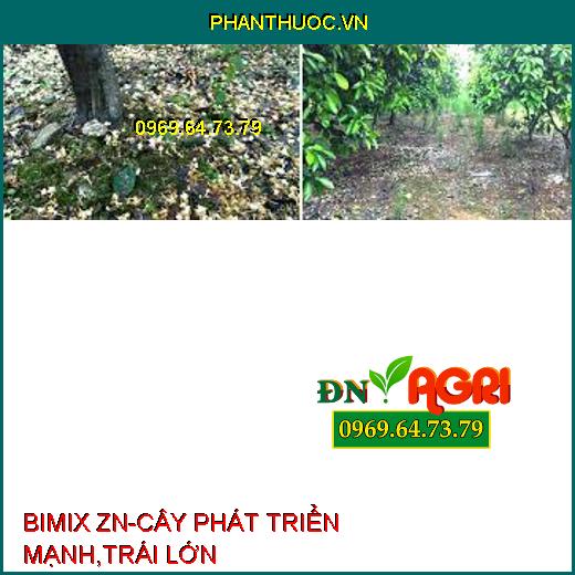 BIMIX ZN-CÂY PHÁT TRIỂN MẠNH,TRÁI LỚN