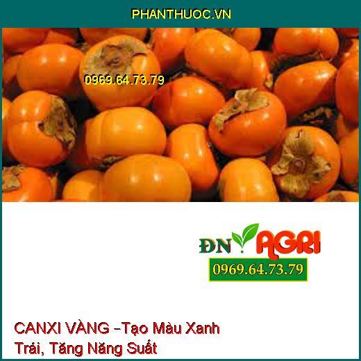 CANXI VÀNG –Tạo Màu Xanh Trái, Tăng Năng Suất