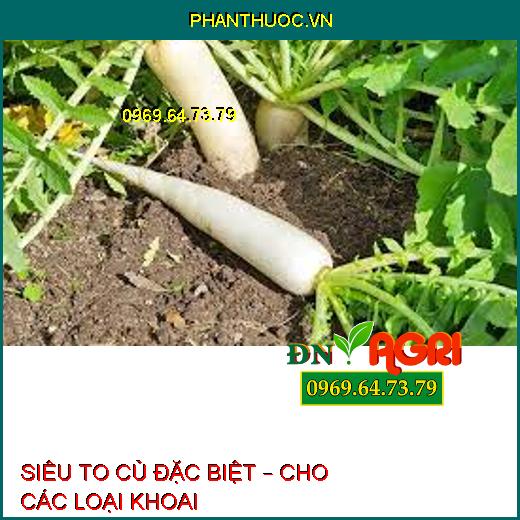 SIÊU TO CỦ ĐẶC BIỆT – CHO CÁC LOẠI KHOAI